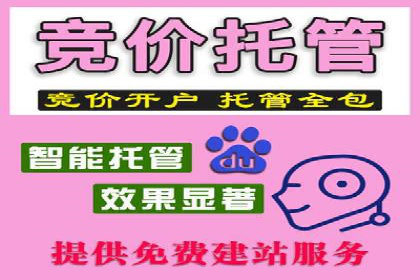 竞价开户推广实战案例精选
